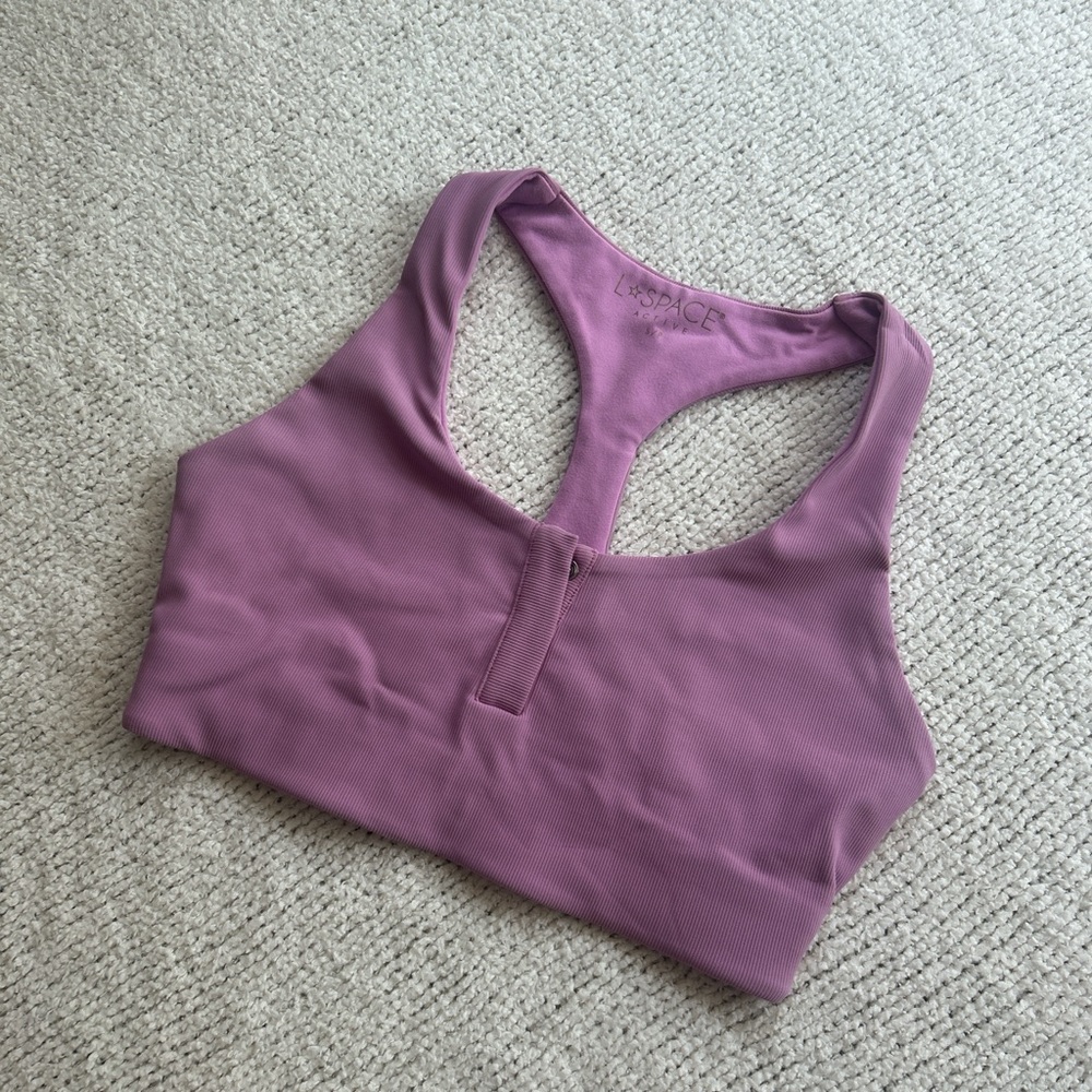 L*Space Purple/Pink Seamless Sports Bra💕